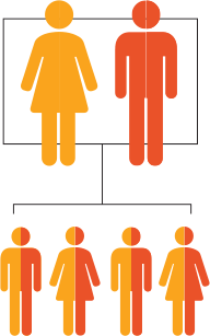Homozygous Affected Individual